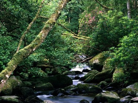 Rivers and Creeks  - river, landscape, mountain, creeks