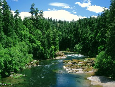 Rivers and Creeks  - river, landscape, mountain, creeks