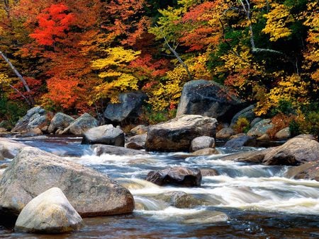 Rivers and Creeks  - landscape, mountain, creeks, river