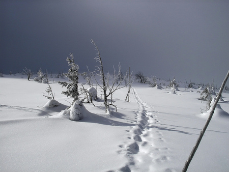 Zima w Karkonoszach - mountain, snow