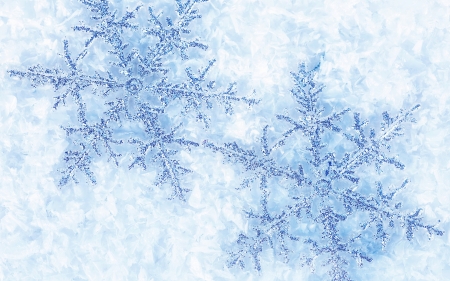 Snowflakes - white, winter, snowflakes, blue