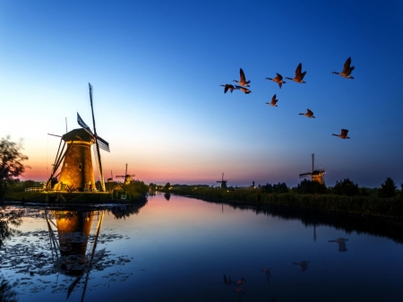 Blue Sky - scenery, windmill, birds, river