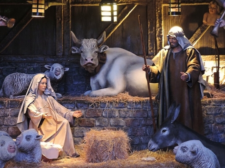 Our Savior is born - christ, jesus, nativity, religion, christmas