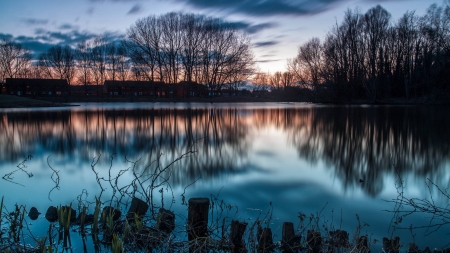 winter forest - fun, nature, cool, forest, winter, sunset