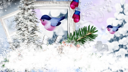 Winter birds - holiday, winter, christmas, bird