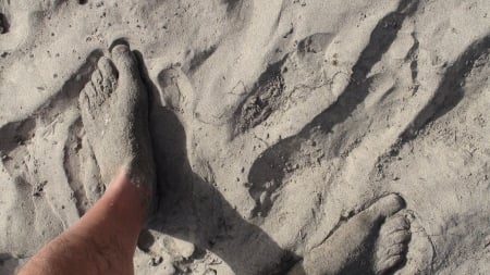 Sand Socks - beach, ocean, feet, sand