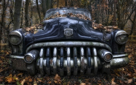 A Restorers Dream Find - cars, forest, blue, autumn