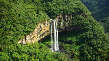 over a waterfall - forest, cool, waterfall, fun, nature