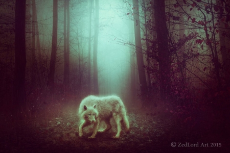 Early Autumn - wolf, abstract, fanrasy, art