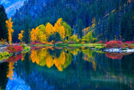 ♥ - river, trees, nature, blue