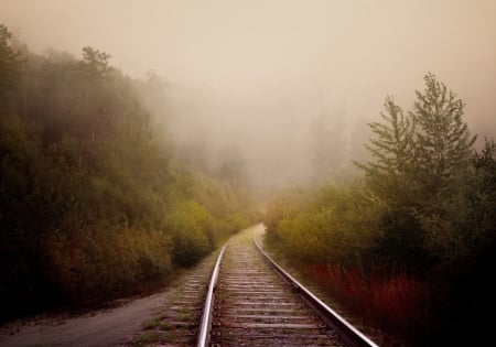 Railroad - fog, nature, track, railroad