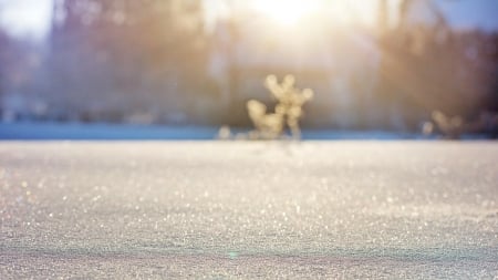 Winter day - snow, field, winter, nature