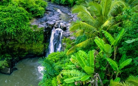 Hidden Waterfall - nature, trees, hidden, water, waterfall, palm