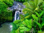 Hidden Waterfall