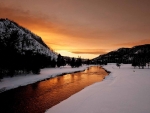 Winter Evening Light, Yellowstone NP