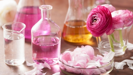 Spa - flower, Spa, oil, scent