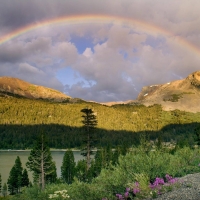 rainbow in nature