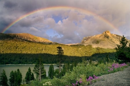 rainbow in nature - nature, fun, rainbow, cool, field