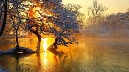 Winter Sunset - nature, lake, trees, reflection, snow, winter, sunset