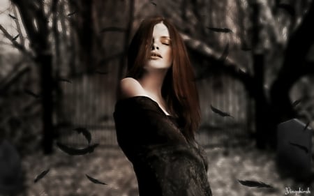 Beauty - beauty, art, woman, dark