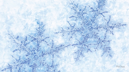 Two Sparkle Snowflakes - winter, snowflakes, christmas, shiny, sparkle, snow, blue, holiday, firefox persona theme