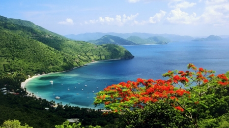 Lake Mountains - flowers, clouds, trees, nature, lake, mountains