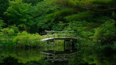 Lake Forest - trees, nature, garden, lake, forest, reflection, bridge