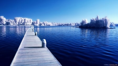 Perfect Winter Path - path, trees, winter, nature, snow, sea, pier