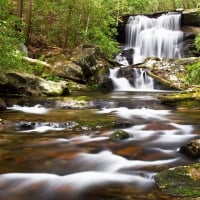 in the forest waterfall