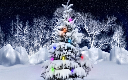 Outdoor Christmas Tree F