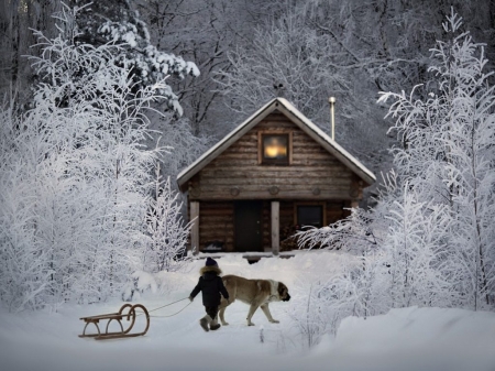 Winter Cottage - winter, wood, snowy, dog, forest, child, nature, friends, cottage