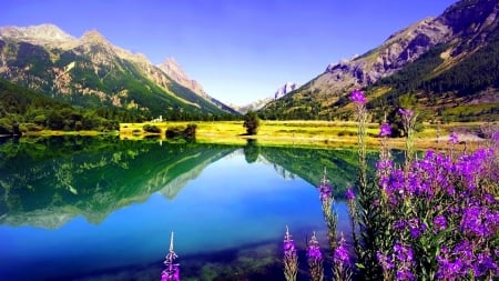 Spring Lake - flowers, nature, lake, spring, reflection, mountain