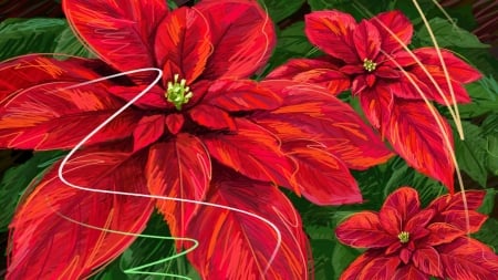 POINSETTIA - design, leaves, petals, colors