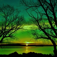 Green Sunset of Nature