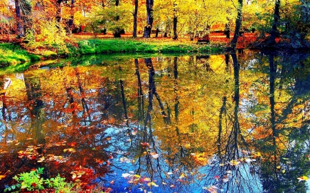 Autumn river - leaves, autumn, trees, river