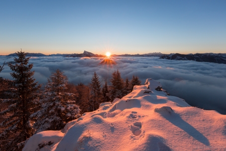 Sunset at winter - snow, winter, sunset, amazing