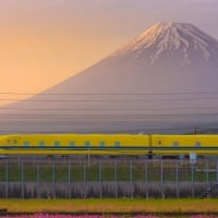 Fuji Scenery