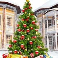 Christmas tree with gift boxes