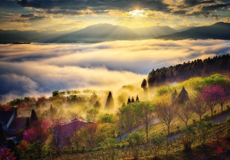 Sky splendor - nature, horizon, sky, cloud