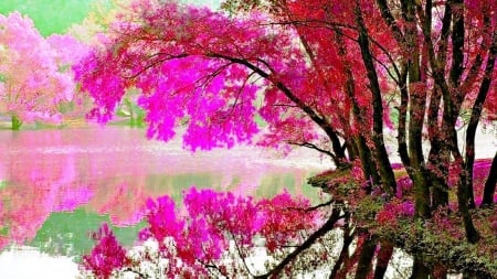 Reflecting Lake - nature, lake, trees, reflection, blossom, flowers, spring