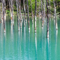 Blue Pond