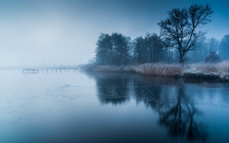 Frozen Lake - trees, frozen, water, nature, lakes