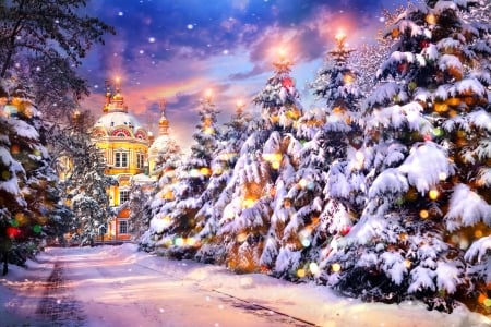 Christmas eve - pretty, trees, winter, decoration, town, beautiful, snow, church, eve, christmas, colorful, holiday, lights, frost, sky