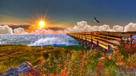 Ocean Sunset - ocean, beach, sunset, waves, nature, pier, clouds, flowers, sea, birds