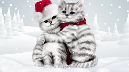 Cute christmas embrace - cat, snow, animal, embrace, kitten, christmas