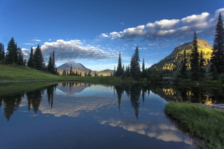 wild nature - lake, forest, cool, fun, nature, mountain