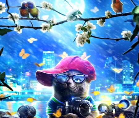 Spy-Cat - hat, bird, blue, mr ripley, flower, creative, pink, cat, fantasy, pisica, white, butterfly, luminos