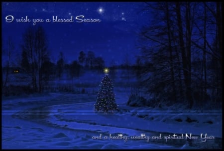 BLESSED SEASON - sky, stars, snow, blue, night, winter, tree, christmas