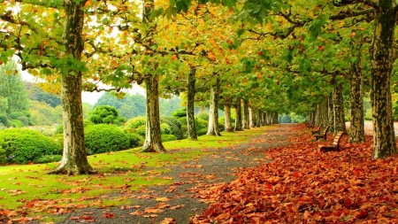 Autumn Park - season, park, fall, autumn