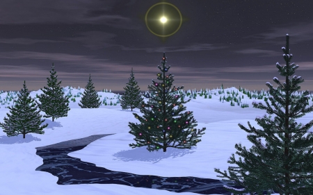 SILENT NIGHT - sky, star, trees, snow, night, winter, christmas